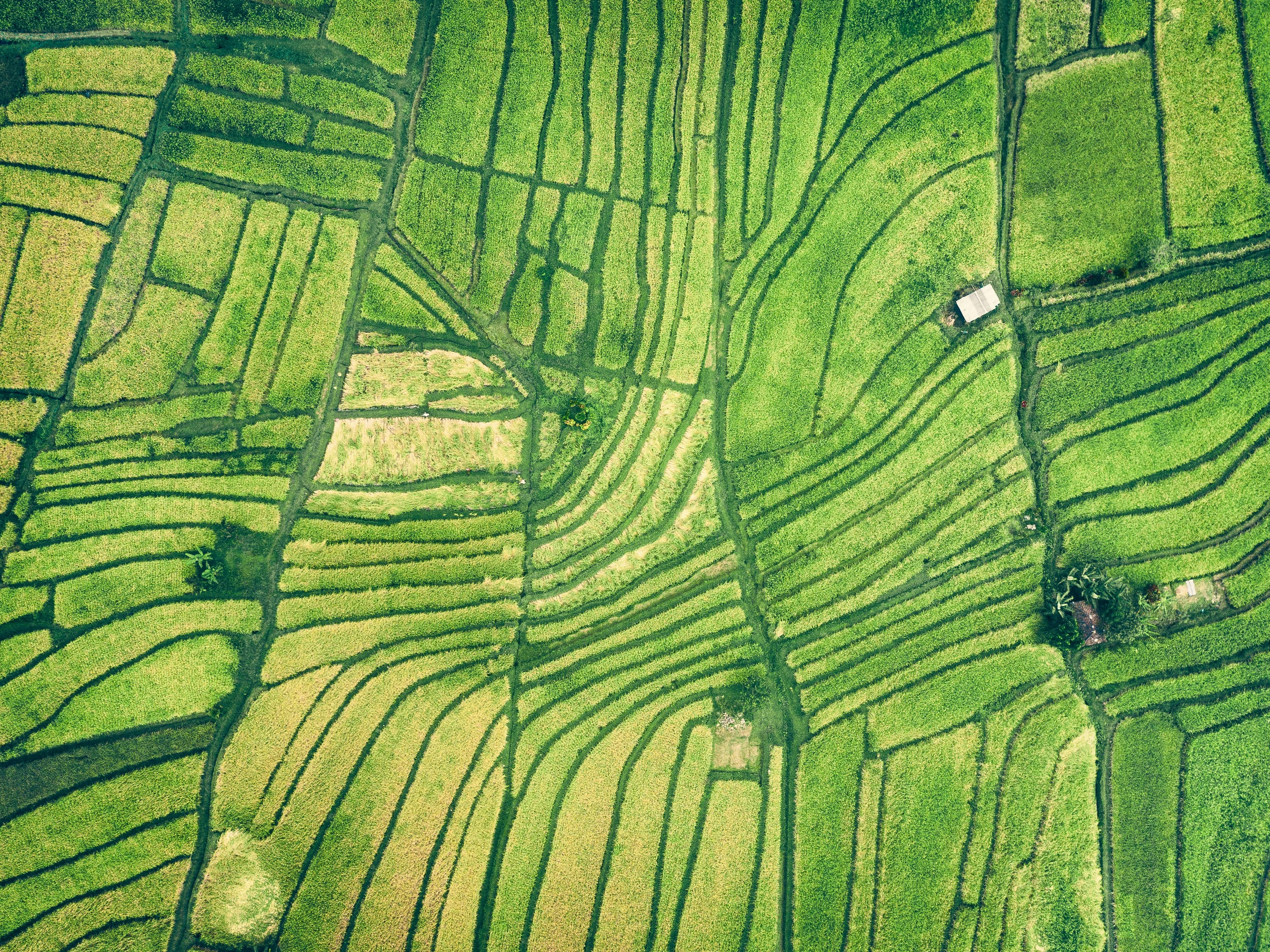 Background image for project